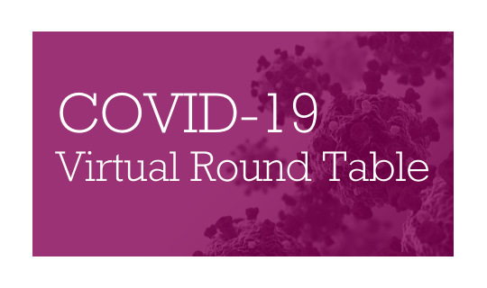 COVID 19 Virtual Round Table Carousel_IQSS